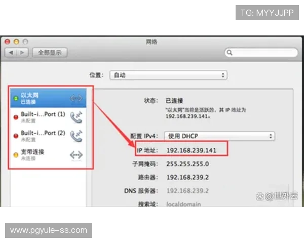 PG昆明地址平台通过智能搜索功能，快速定位用户所需的具体地址位置