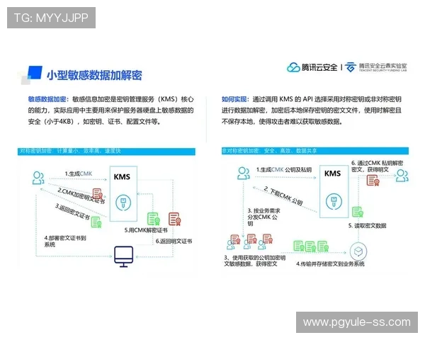 PG网站网站APP安全性分析及其在用户数据保护中的表现